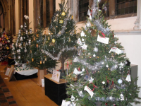 christmas_tree_festival_2013_20140220_1620134936